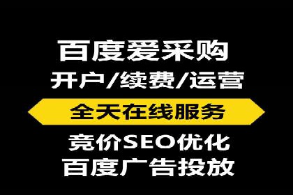 经典案例：SEM代运营服务公司的成功之路